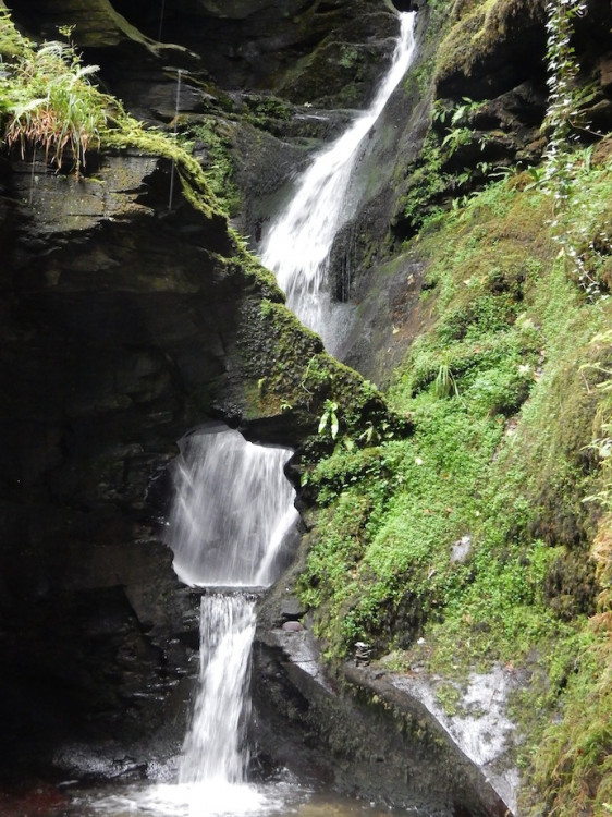 pic5.jpg