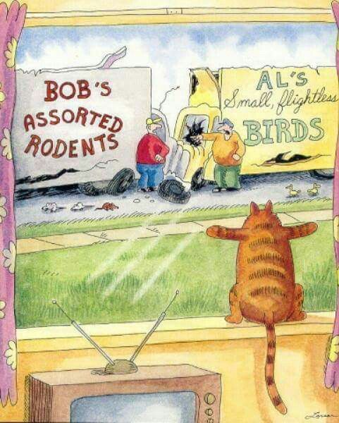 Gary Larson.jpg