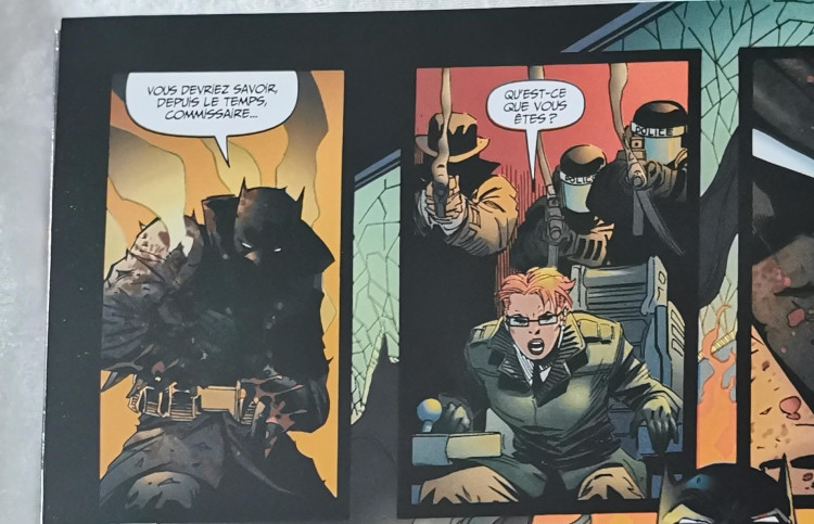 bat2 petit 3.jpg