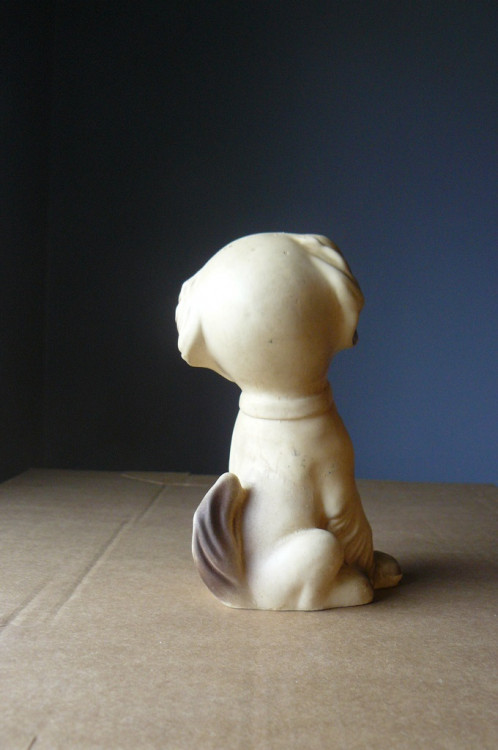 Chien03.jpg