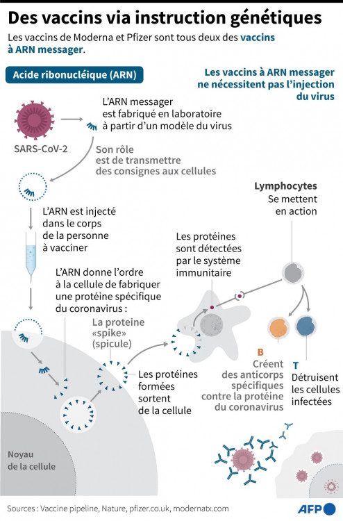 vaccins-instructions-genetiques_1_1020_1548.jpg