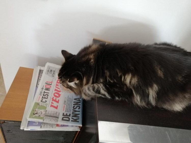 l'equipe.jpg