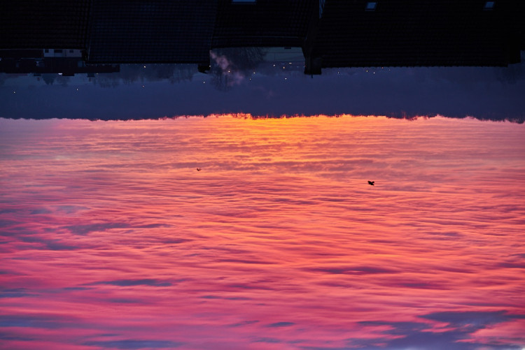 2021-01-13 Ciel BLC - 037.jpg