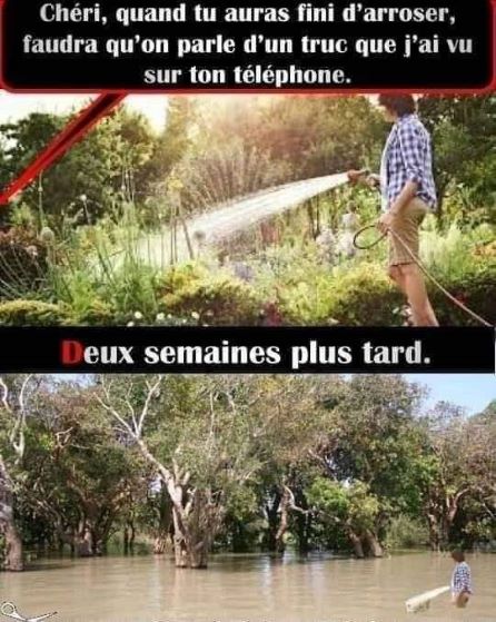 5d98f51d2fc59.jpeg
