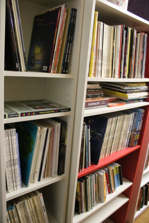 Bibliothèque (14).JPG