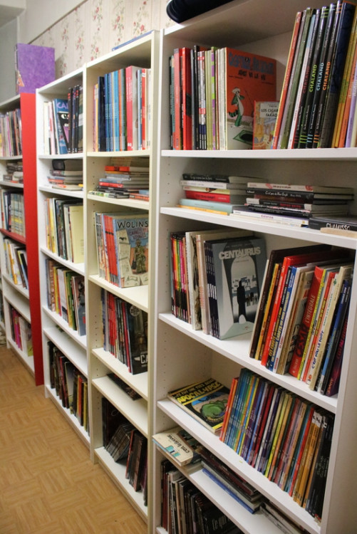 Bibliothèque (17).JPG