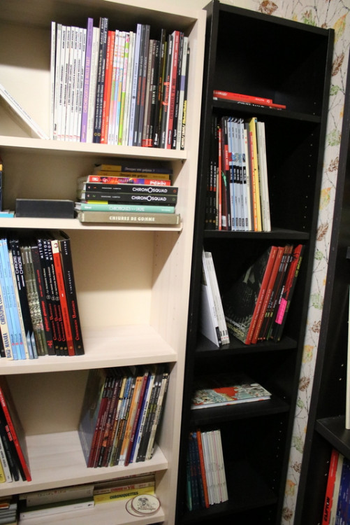 Bibliothèque (19).JPG