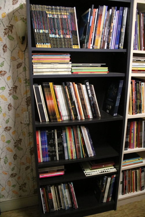 Bibliothèque (23).JPG