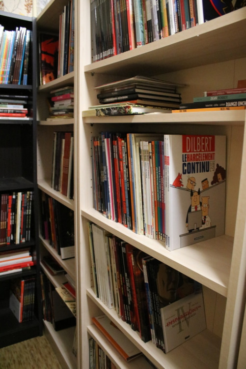 Bibliothèque (27).JPG