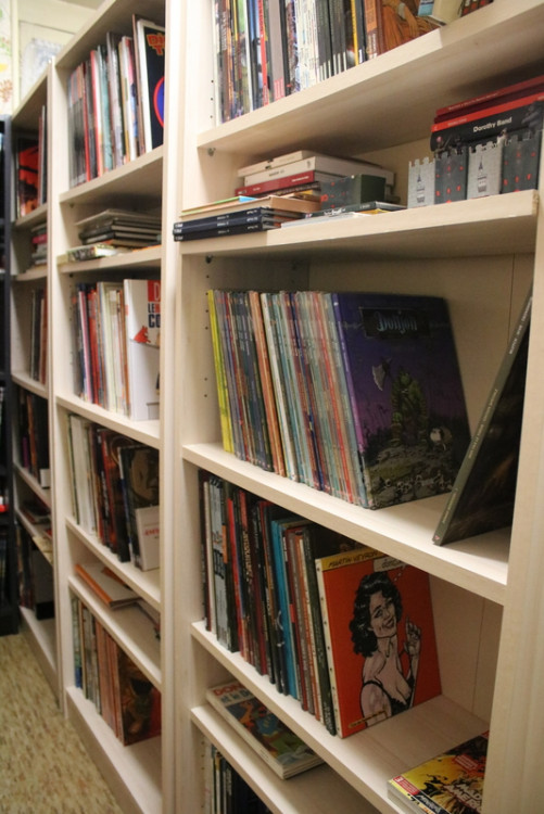 Bibliothèque (28).JPG