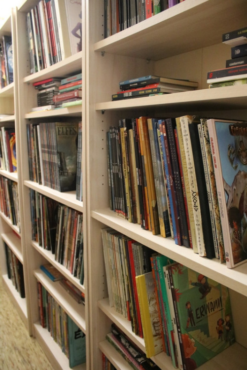 Bibliothèque (30).JPG