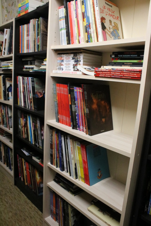 Bibliothèque (32).JPG