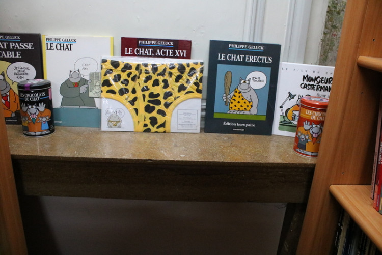 Bibliothèque (59).JPG (260.61 Kio) Vu 158 fois Bibliothèque (59).JPG