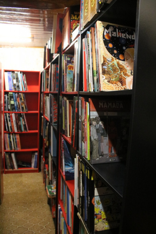 Bibliothèque (90).JPG