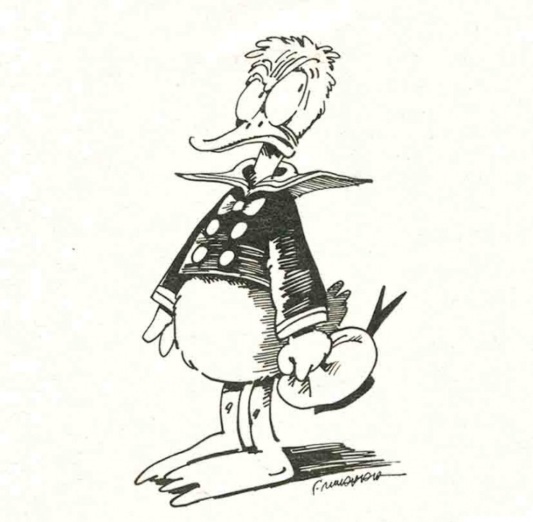Donald par F murr.jpg