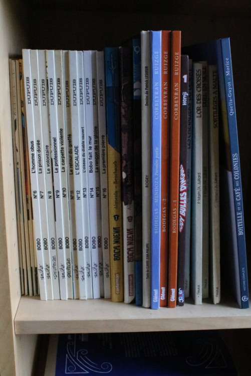 IMG_9946.JPG (259.77 Kio) Vu 115 fois IMG_9946.JPG