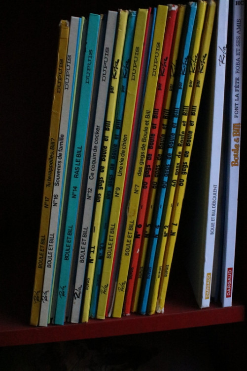 IMG_9954.JPG (265.46 Kio) Vu 119 fois IMG_9954.JPG