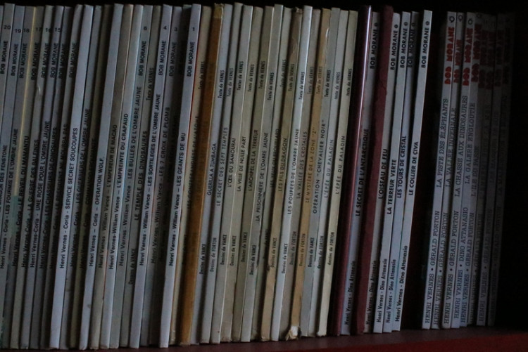 IMG_9960.JPG (282.59 Kio) Vu 115 fois IMG_9960.JPG