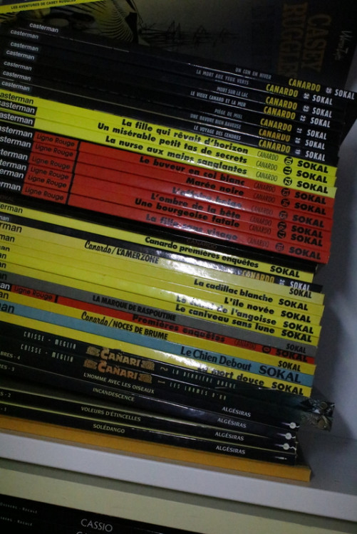 IMG_0085.JPG (301.9 Kio) Vu 90 fois IMG_0085.JPG