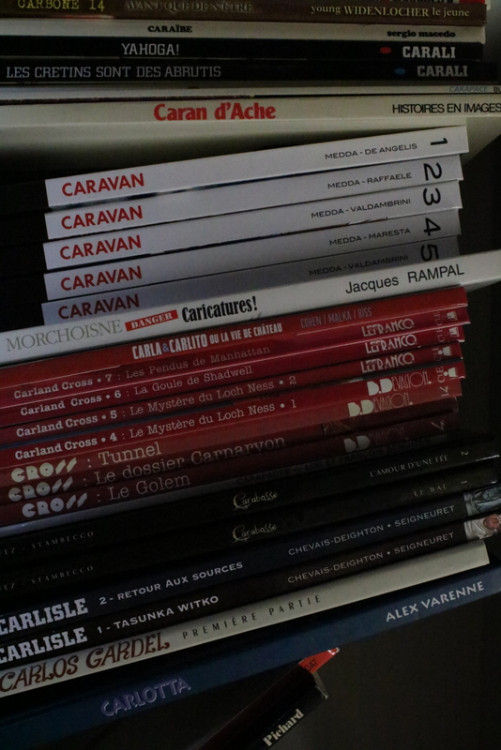 IMG_0092.JPG (247.78 Kio) Vu 92 fois IMG_0092.JPG