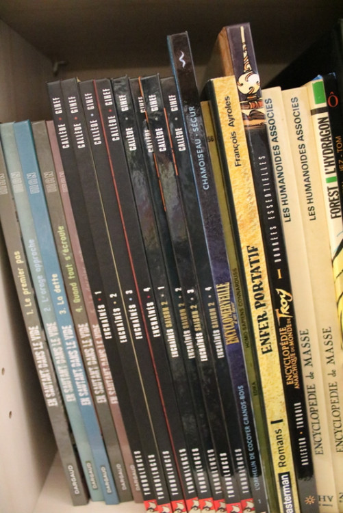 IMG_0493.JPG (319.22 Kio) Vu 118 fois IMG_0493.JPG