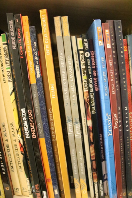 IMG_0494.JPG (329.87 Kio) Vu 123 fois IMG_0494.JPG