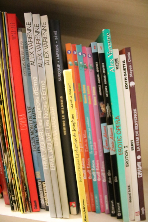 IMG_0498.JPG (293.37 Kio) Vu 122 fois IMG_0498.JPG