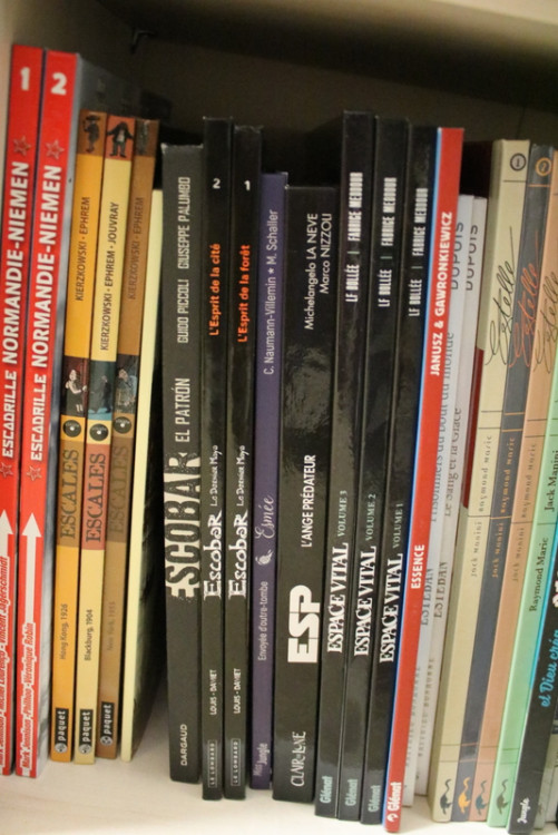 IMG_0514.JPG (312.31 Kio) Vu 117 fois IMG_0514.JPG