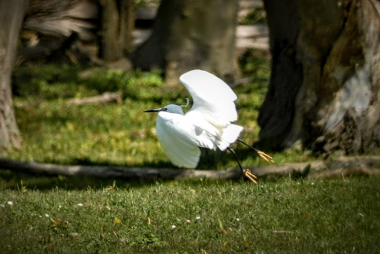 DSC_0557 (2).JPG