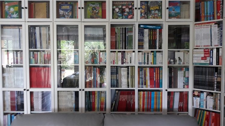 bibliothèque1 (800 x 450).jpg
