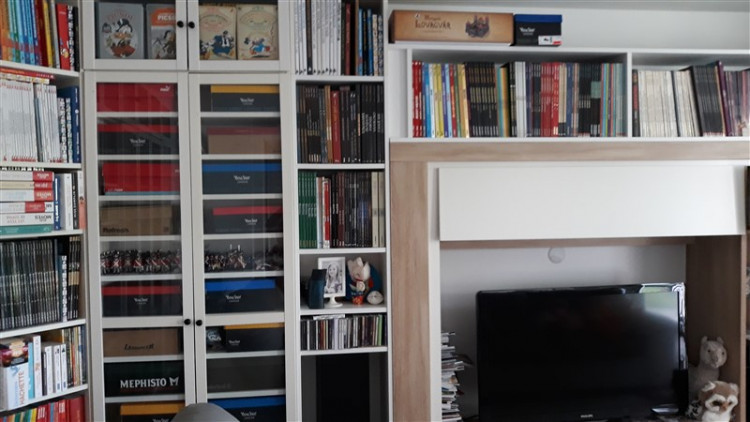 bibliothèque2 (800 x 450).jpg