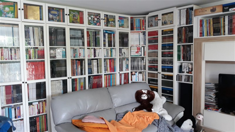 bibliothèque3 (800 x 450).jpg
