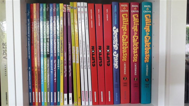 15 (800 x 450).jpg