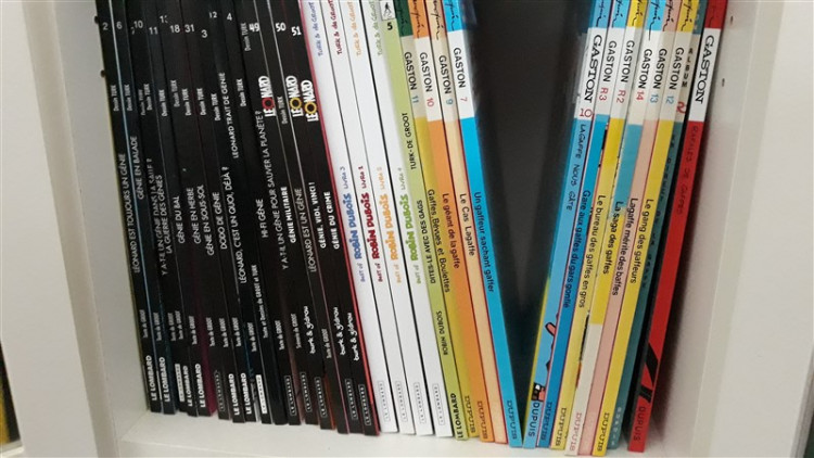 17 (800 x 450).jpg
