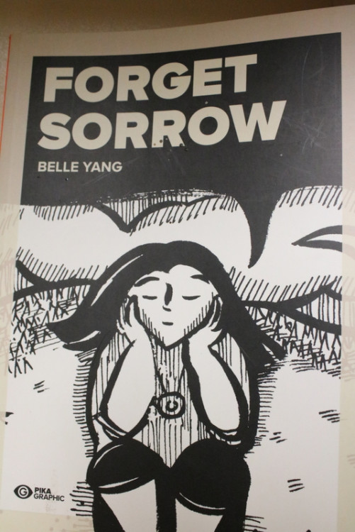 IMG_0892.JPG (248.14 Kio) Vu 122 fois IMG_0892.JPG