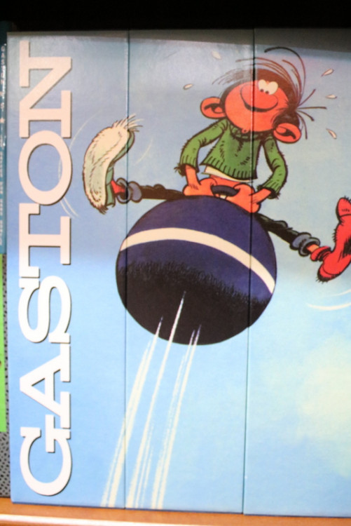 IMG_0930.JPG (216.27 Kio) Vu 105 fois IMG_0930.JPG