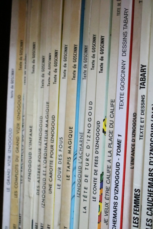 IMG_1095.JPG (258.77 Kio) Vu 96 fois IMG_1095.JPG