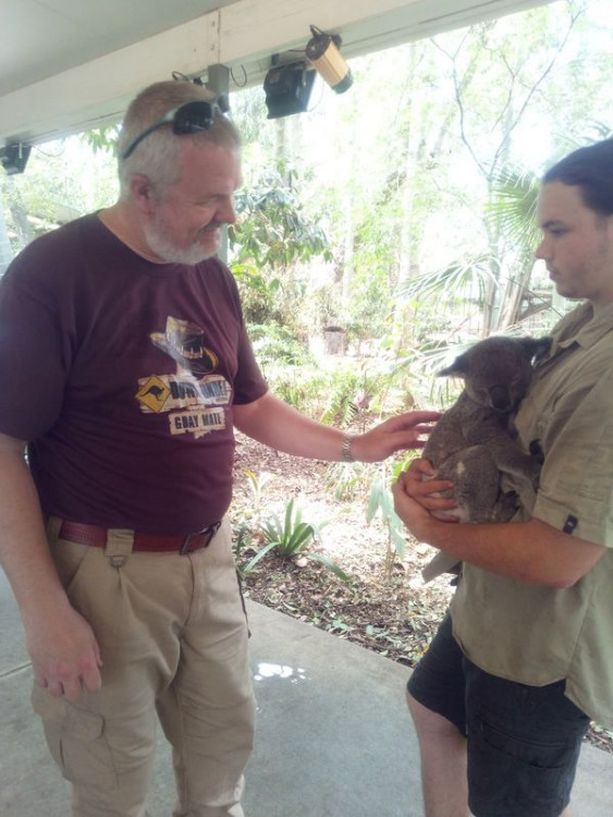 koala.jpg