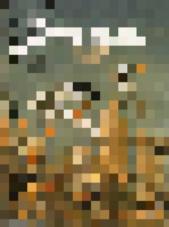 imageonline-co-pixelated(1).png