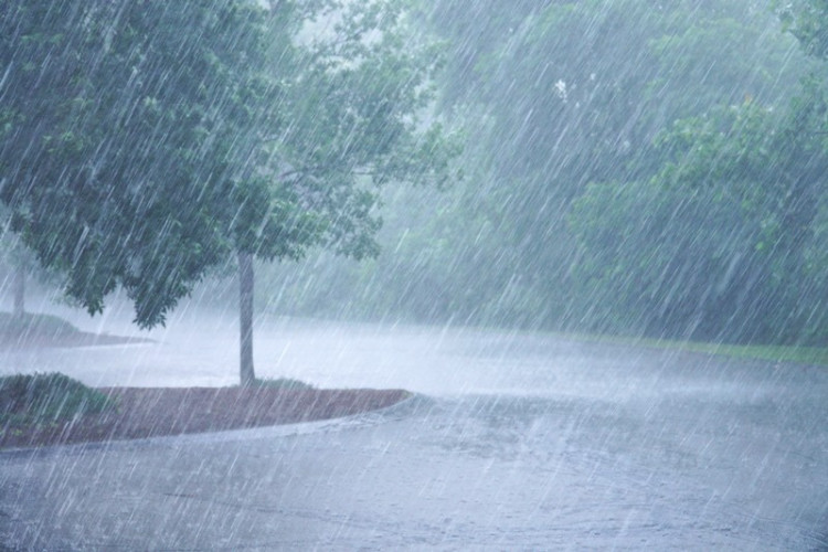 pluie.jpg