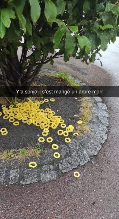 Sonic.jpg