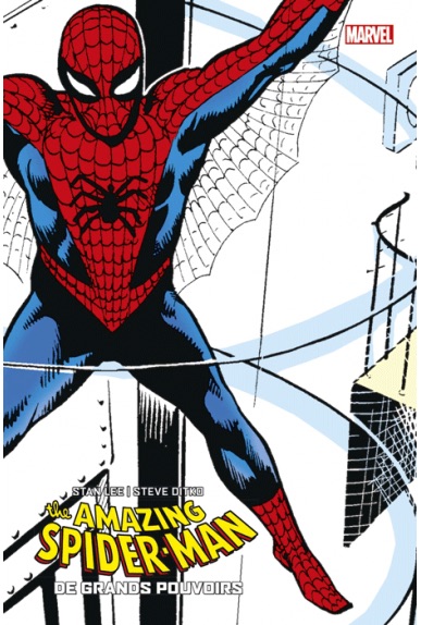 amazing-spider-man-a-grands-pouvoirs-edition-collector.jpg