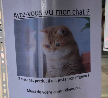 Screenshot 2022-05-12 at 08-30-05 IDIOTS DU VILLAGE (@_IDVL) _ Twitter.png