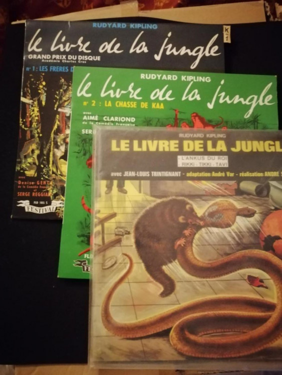 trouvaille1305222.jpg