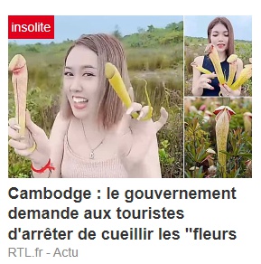 RTLpuk.jpg