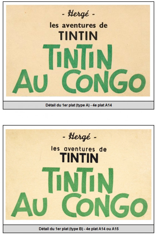 Congo-1er plat.jpg