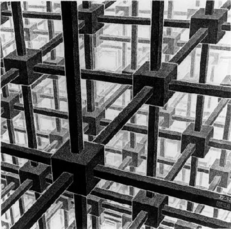 MC Escher - Division cubique de l'espace, Lithoraphie.jpg