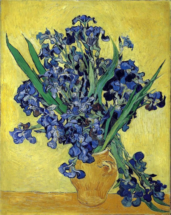 15.2 Vincent Van Gogh - Vase aux iris.jpg
