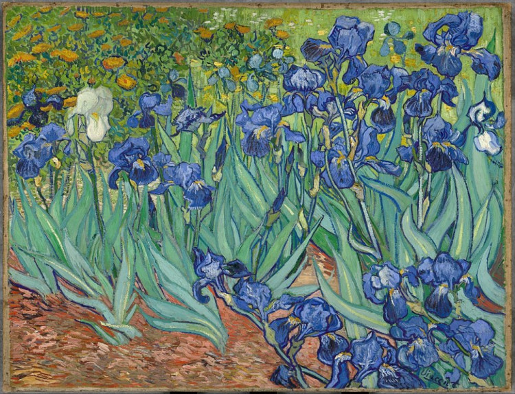 15.3 Vincent Van Gogh - Les Iris.jpg