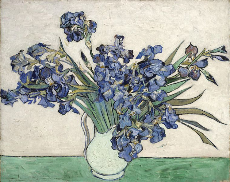 15.4 Vincent Van Gogh - Iris.jpg